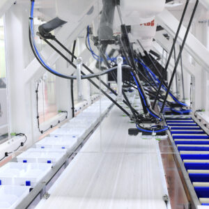 ABB Flexpicker at South Koreas Lotte Confectionary